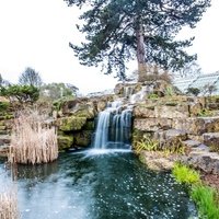 Royal Botanic Gardens, Лондон