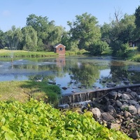 Farmington Hills, Фармингтон Хилс, Мичиган