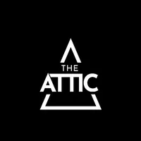 The Attic, Суонси