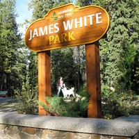 James White Park, Ферни