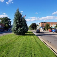 Бруклин, Мичиган