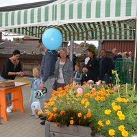 Bree festivalterrein, Бре