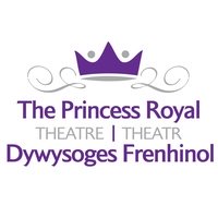 Princess Royal Theatre, Порт-Толбот