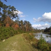 Ковингтон, Луизиана