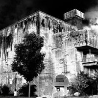 Bunker, Росток