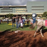 Santa Anita Park, Аркадия, Калифорния