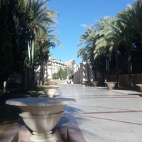 Auditorio Julio Iglesias, Бенидорм