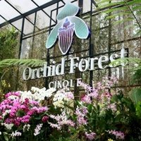 Orchid Forest Cikole, Бандунг