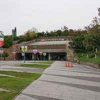 Osaka Municipal Central Gymnasium, Осака