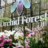Orchid Forest, Бандунг