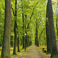 Park Miejski, Звежинец