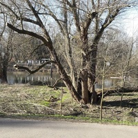 KZ Faust - Wiese, Ганновер