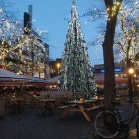 Grote Markt Den Haag, Гаага