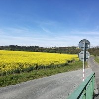 Božkov, Пльзень