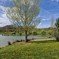 Lac de Parisot, Монтобан