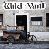 Wild Vaitl, Амберг