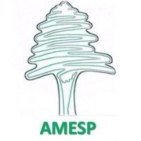Amesp, Жоинвили