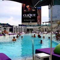 Boulevard Pool at The Cosmopolitan, Лас-Вегас, Невада