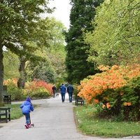 Hazlehead Park, Абердин