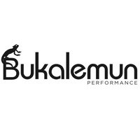 Bukalemun Performance Hall, Мерсин