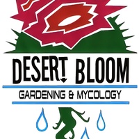 The Bloom Room, Гранд-Джанкшен, Колорадо