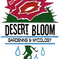 The Bloom Room, Гранд-Джанкшен, Колорадо