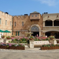 Lagunasia, Гамагори