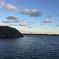 Husøya Island, Трена