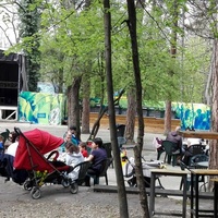 Maimunarnika, София