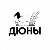 Дюны, Санкт-Петербург