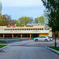 Villa Крокодила, Полтава