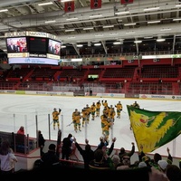 Isomäki Areena, Пори