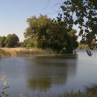 Лемур, Калифорния