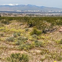 Хендерсон, Невада