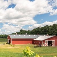 Therapeutic Horses, Саратога-Спрингс, Нью-Йорк
