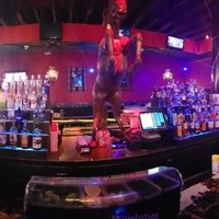 The Deadhorse, Сан-Анджело, Техас