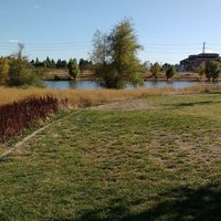 Tanzanite Skate Park, Сакраменто, Калифорния