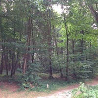 Монтобан-де-Бретань