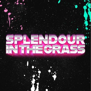 Splendour In The Grass 2022 группы, расписание и информация о Splendour In The Grass 2022