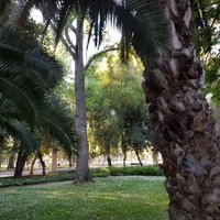 Parque O`higgins, Сантьяго