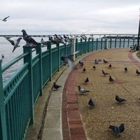 Water Front Outdoors, Нью-Берн, Северная Каролина