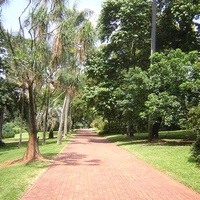 Durban Botanic Garden, Дурбан