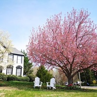 Вудбридж, Виргиния