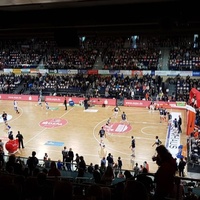 StadtHalle, Росток