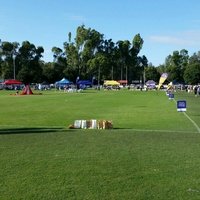 J.C. Lowe Oval, Ярравонга