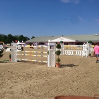 Magna Racino, Эбрайхсдорф