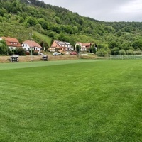 Falken Sportplatz, Треффурт