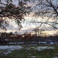 Kouri Forest, Алмирос