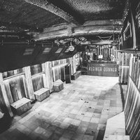 Kleiner Donner, Гамбург