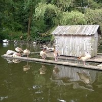 Französischer Garten, Саарбрюккен